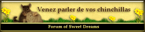 forum of sweet dreams